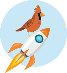 bird on a rocket