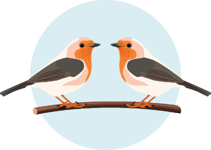two birds on a twig